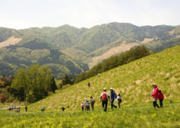 Kannabe Highlands