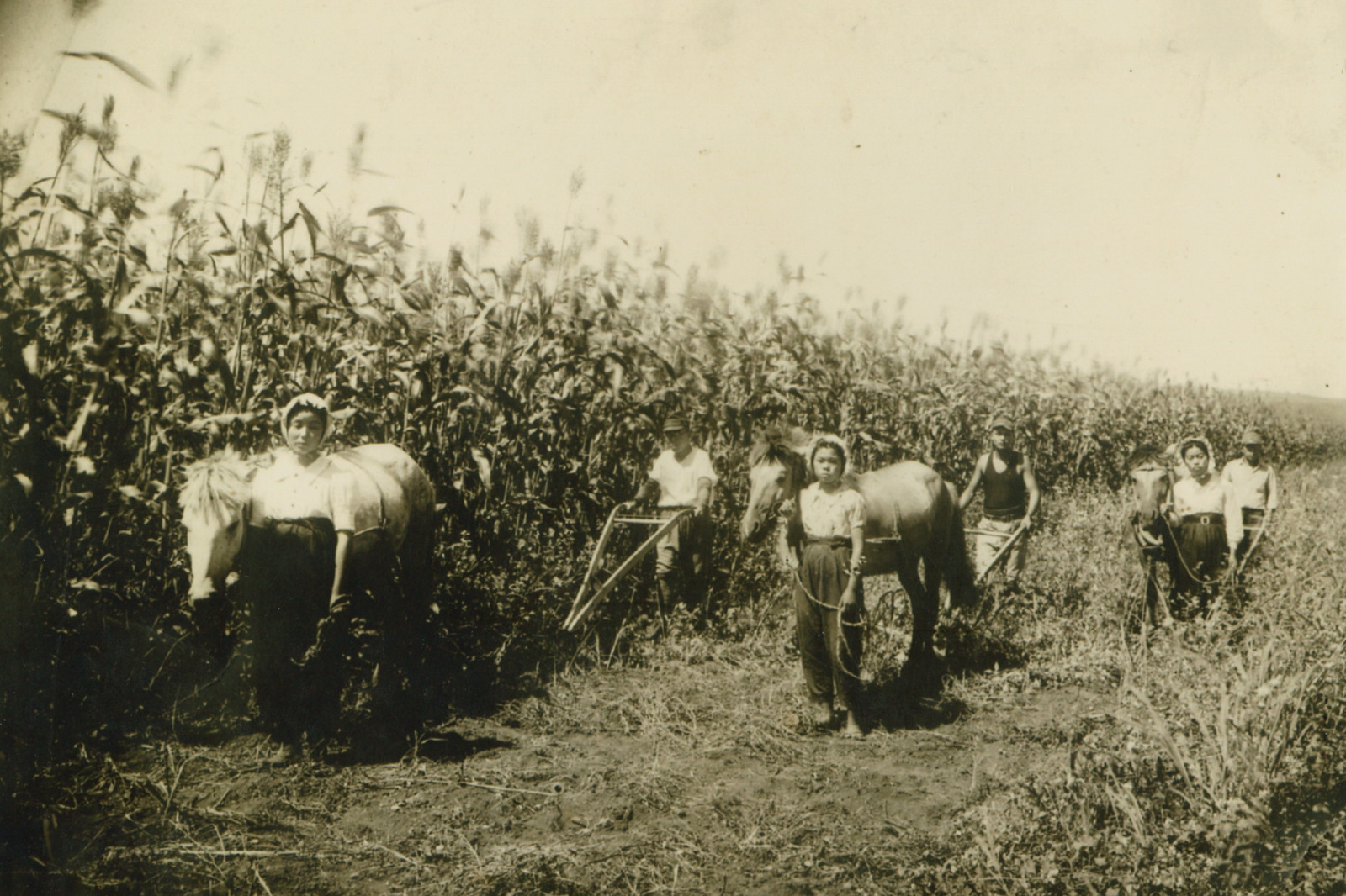 第95回企画展　旧高橋村『大兵庫開拓団』が入植した地にくらした人びと―モンゴル遊牧民、漢人農民そして日本人開拓農民―